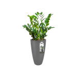 pure soft round high 30cm antraciet